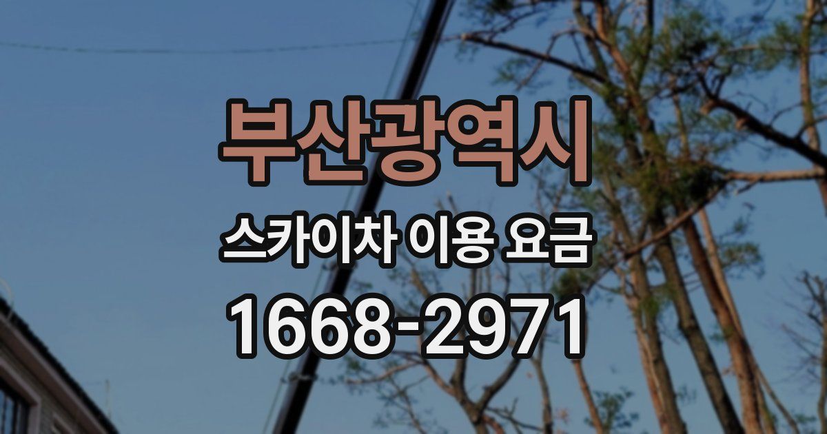 부산광역시 스카이차 이용 요금