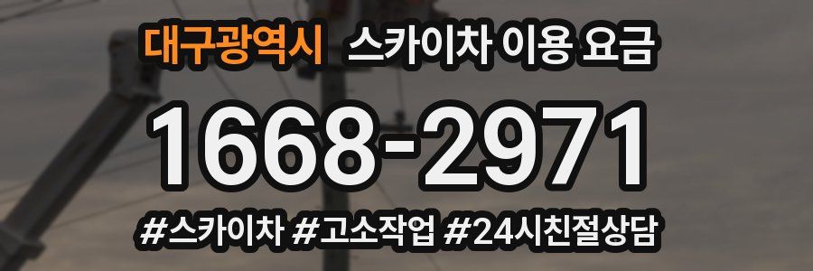 대구광역시 스카이차 이용 요금