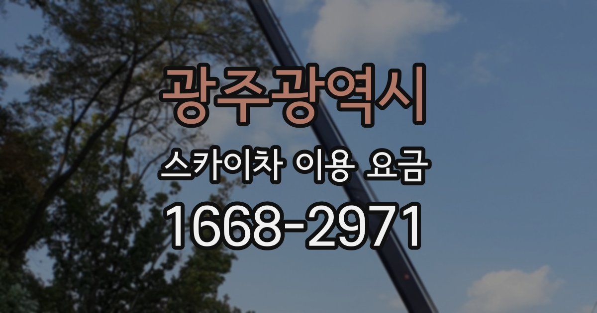 광주광역시 스카이차 이용 요금