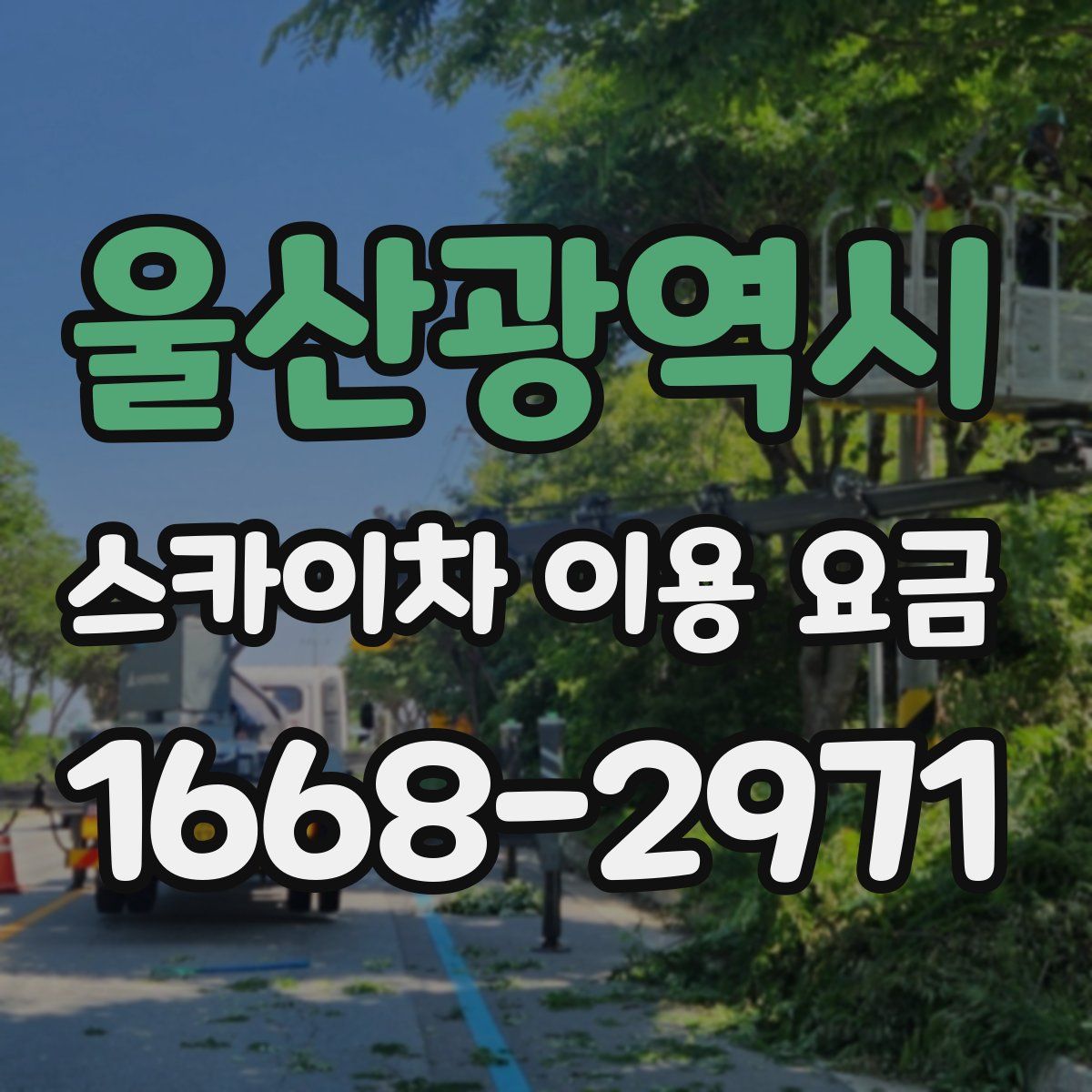울산광역시 스카이차 이용 요금