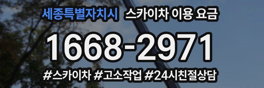 세종특별자치시 스카이차 이용 요금
