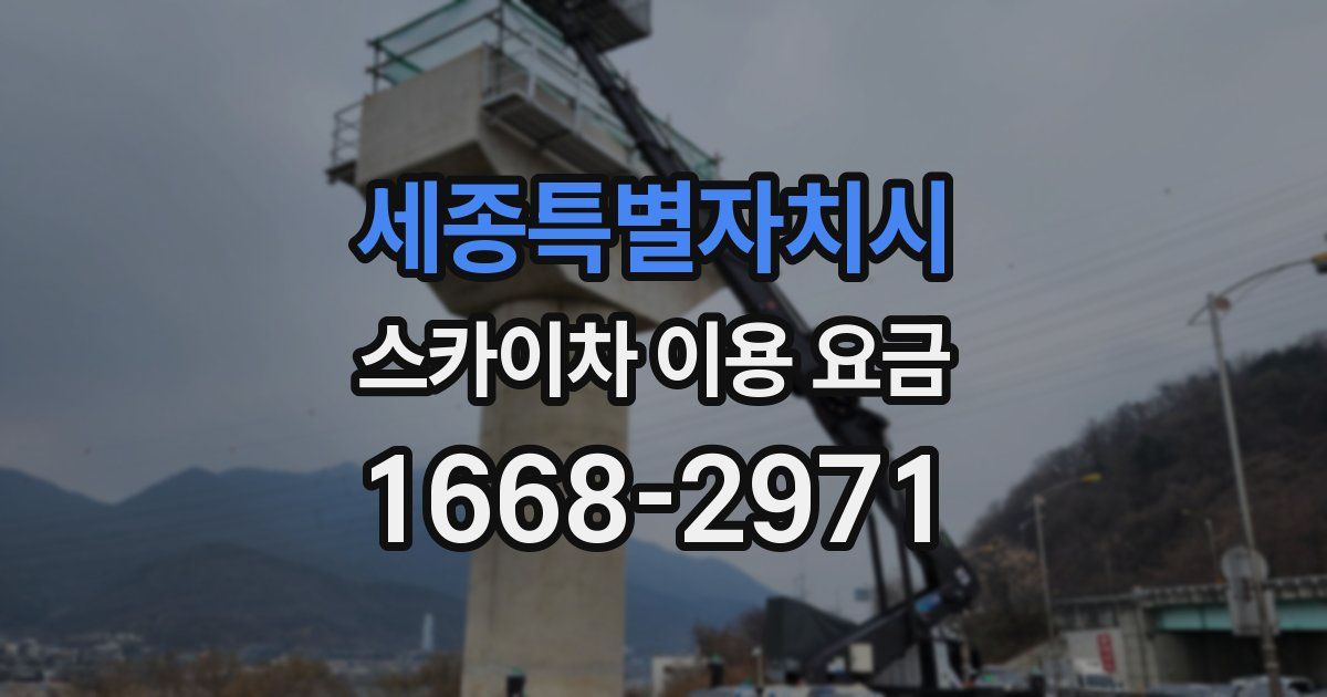 세종특별자치시 스카이차 이용 요금