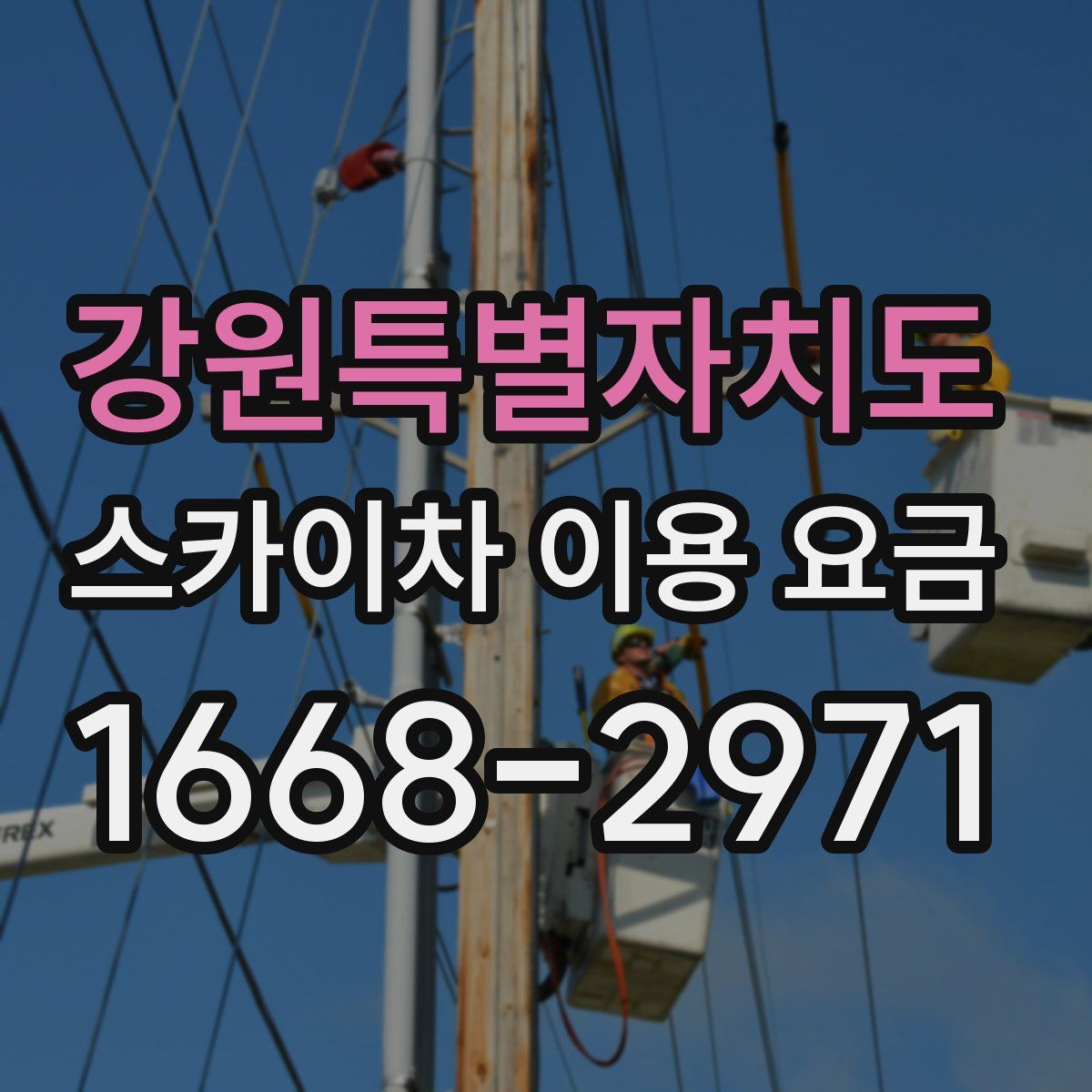 강원특별자치도 스카이차 이용 요금
