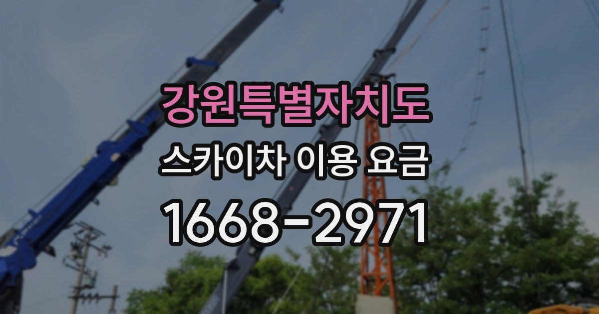 강원특별자치도 스카이차 이용 요금