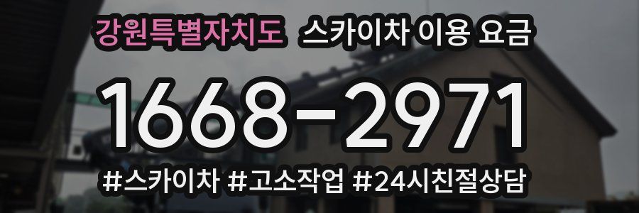 강원특별자치도 스카이차 이용 요금