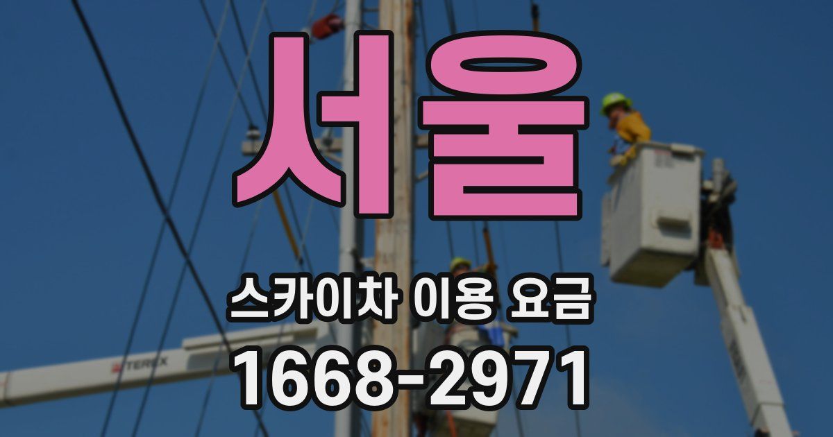 서울 스카이차 이용 요금