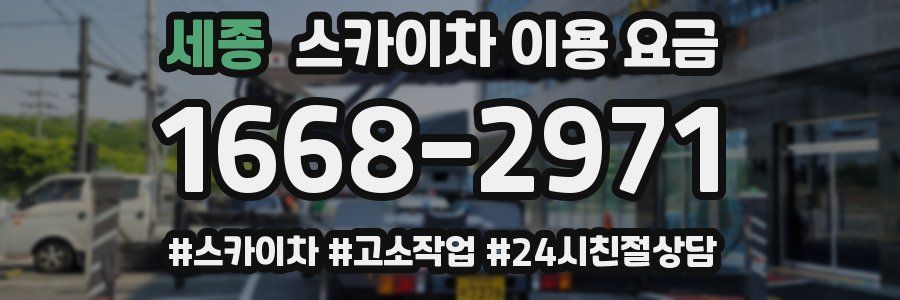 세종 스카이차 이용 요금