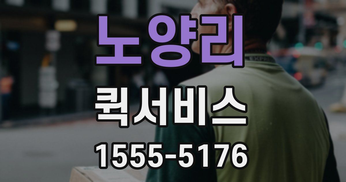 노양리 퀵서비스