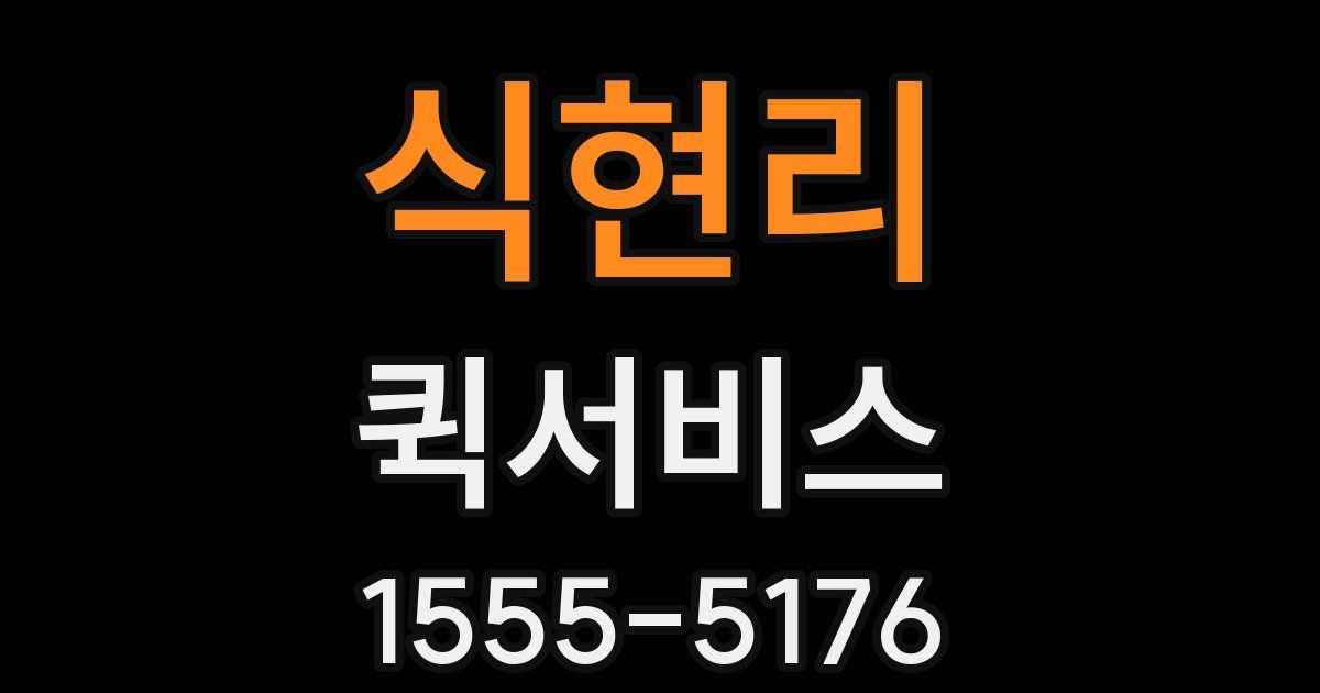 식현리 퀵서비스