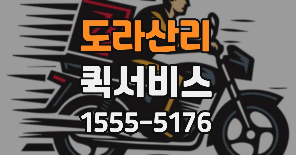 도라산리 퀵서비스