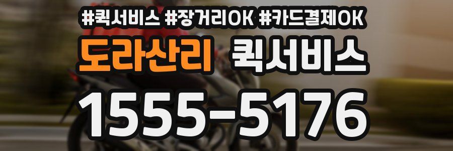 도라산리 퀵서비스