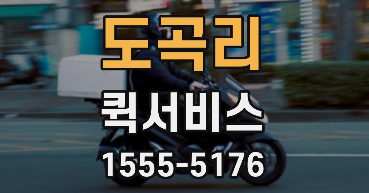 도곡리 퀵서비스