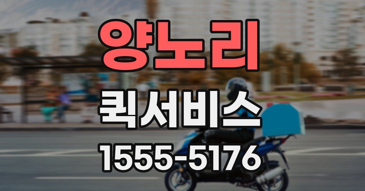 양노리 퀵서비스