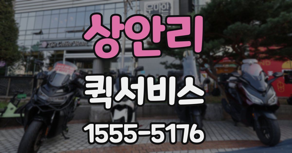 상안리 퀵서비스