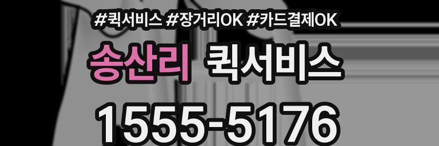 송산리 퀵서비스