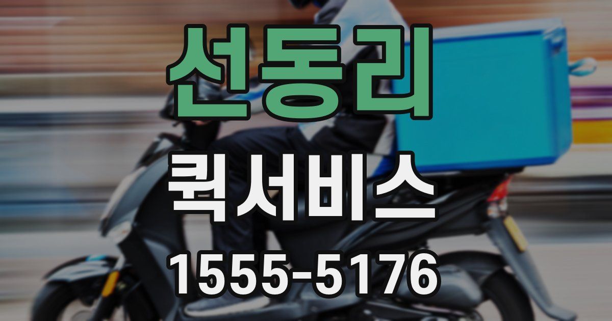 선동리 퀵서비스