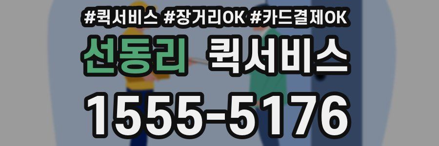 선동리 퀵서비스