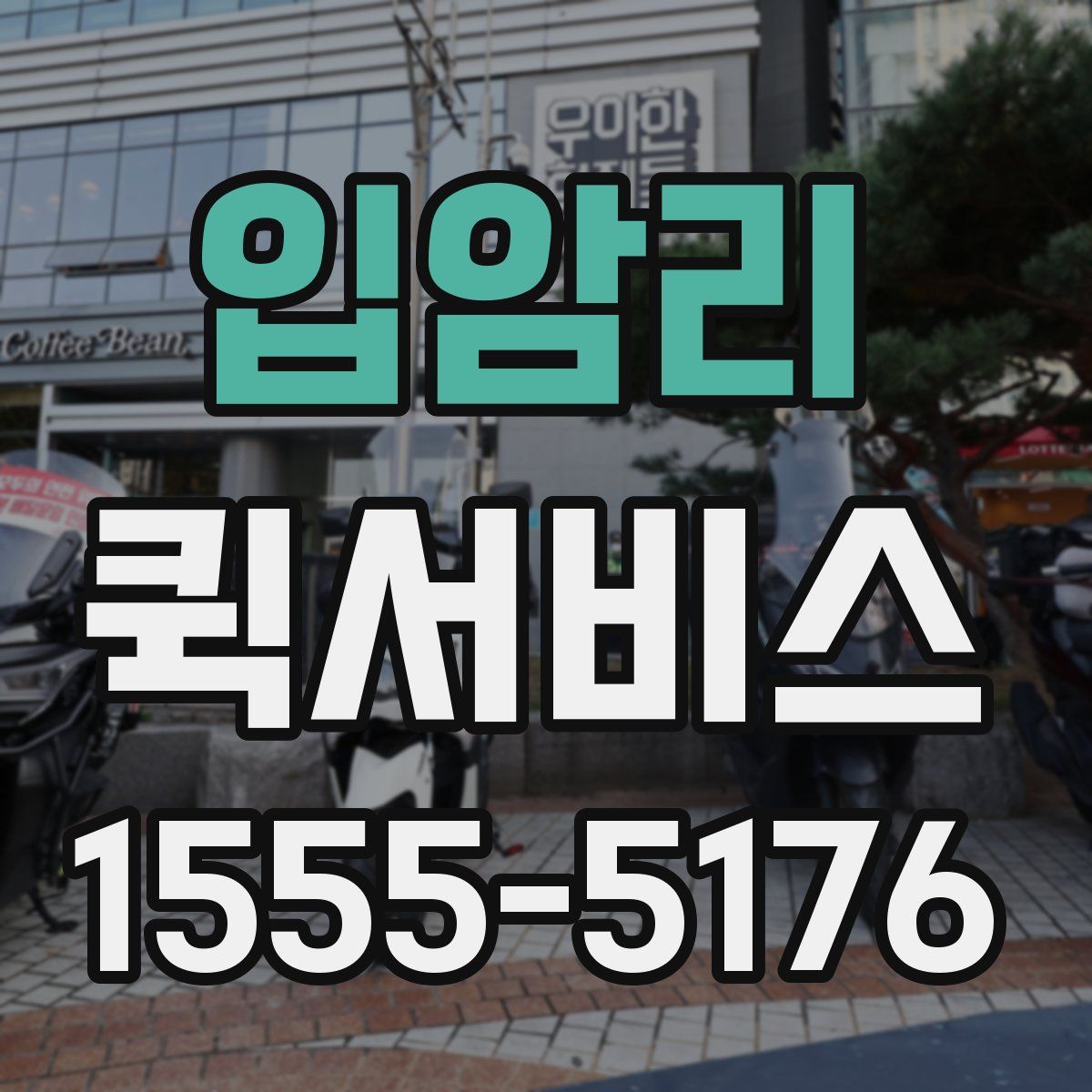 입암리 퀵서비스