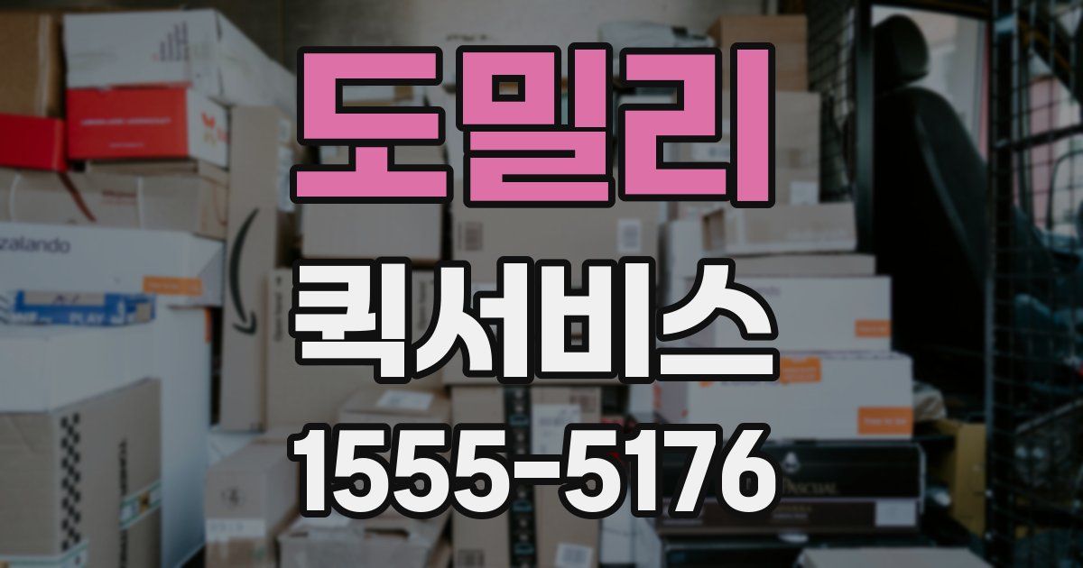 도밀리 퀵서비스