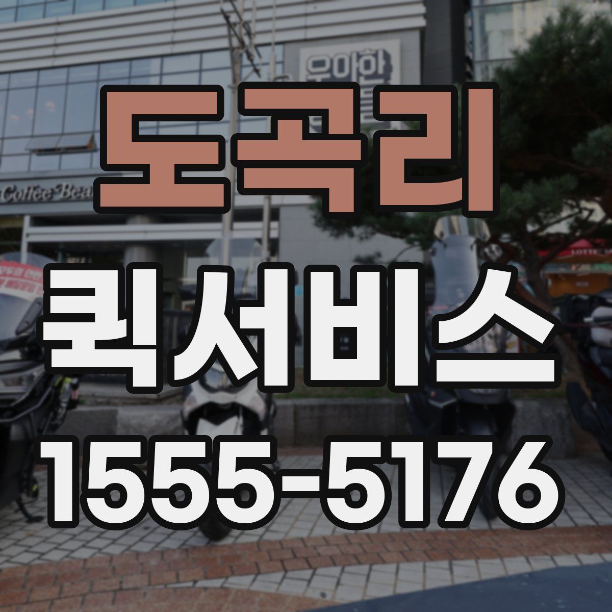 도곡리 퀵서비스