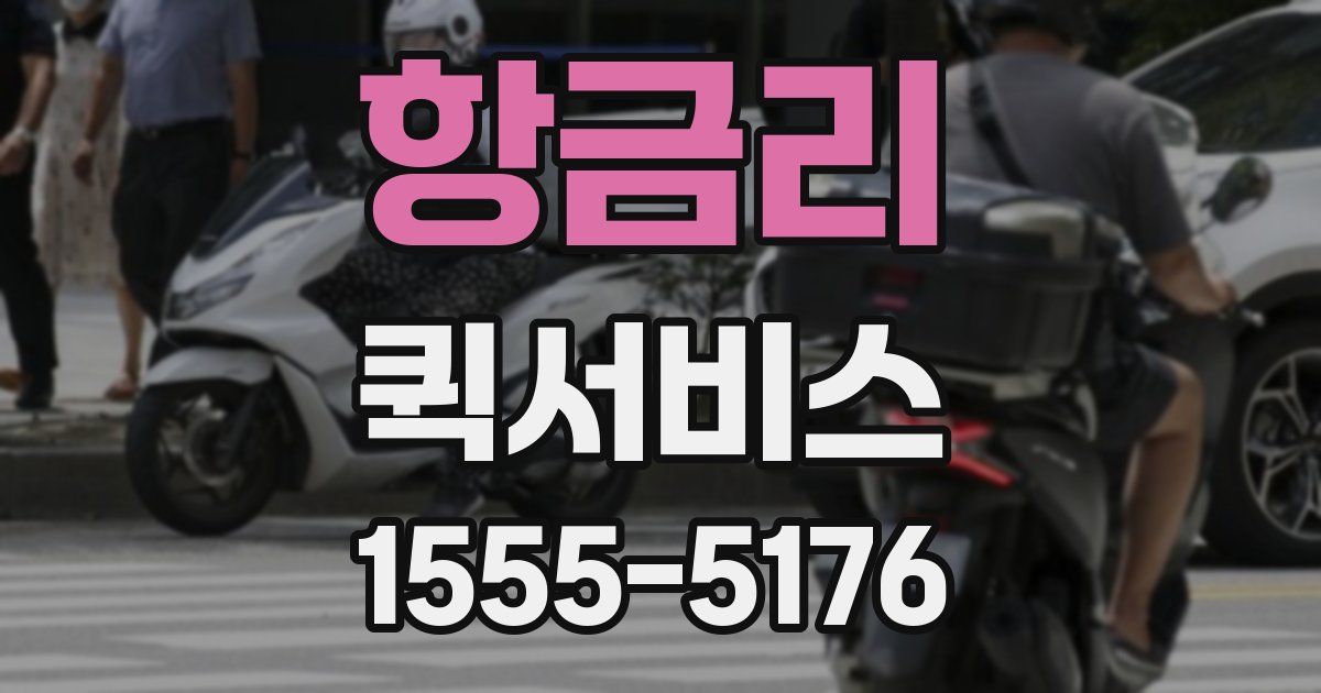 항금리 퀵서비스
