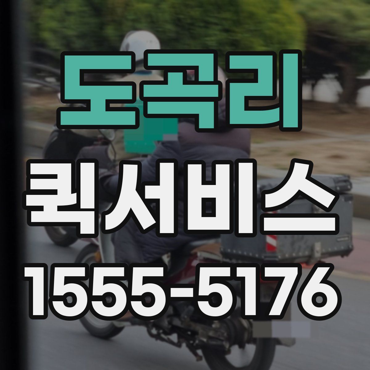 도곡리 퀵서비스