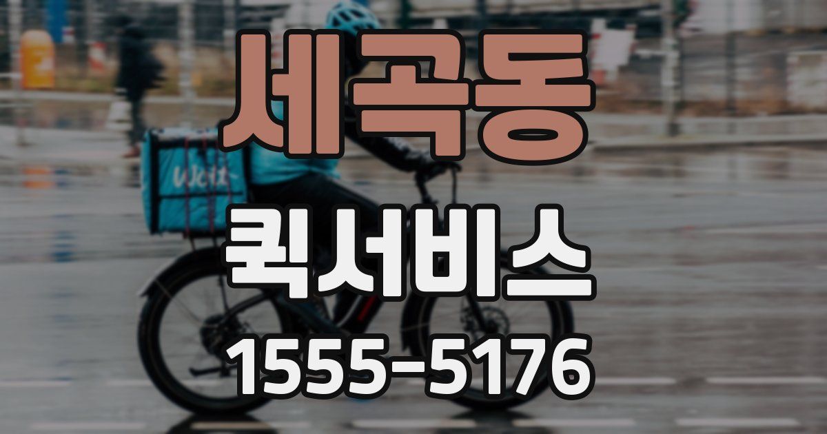 세곡동 퀵서비스