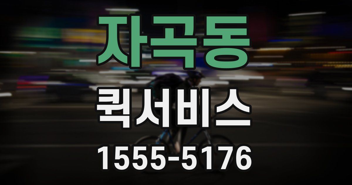 자곡동 퀵서비스