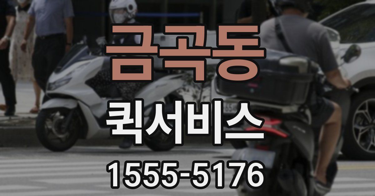 금곡동 퀵서비스