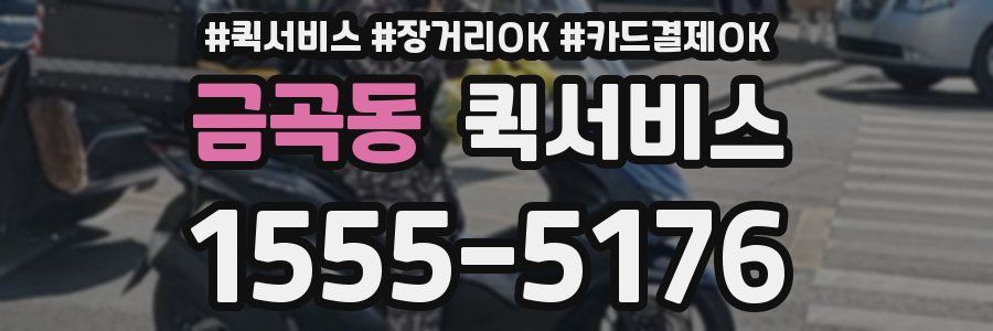 금곡동 퀵서비스