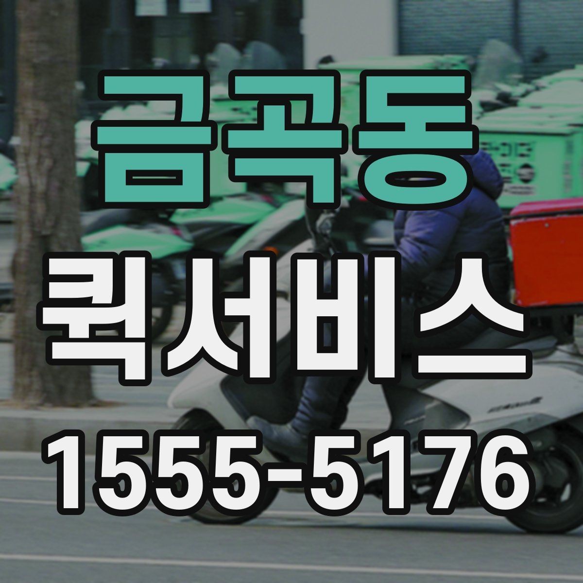 금곡동 퀵서비스 샘플을 당일 납품해야 할 때 선택