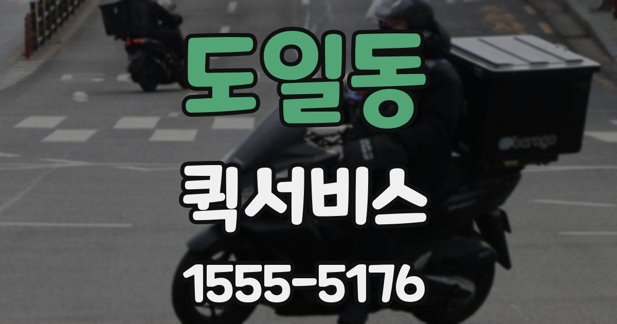 도일동 퀵서비스