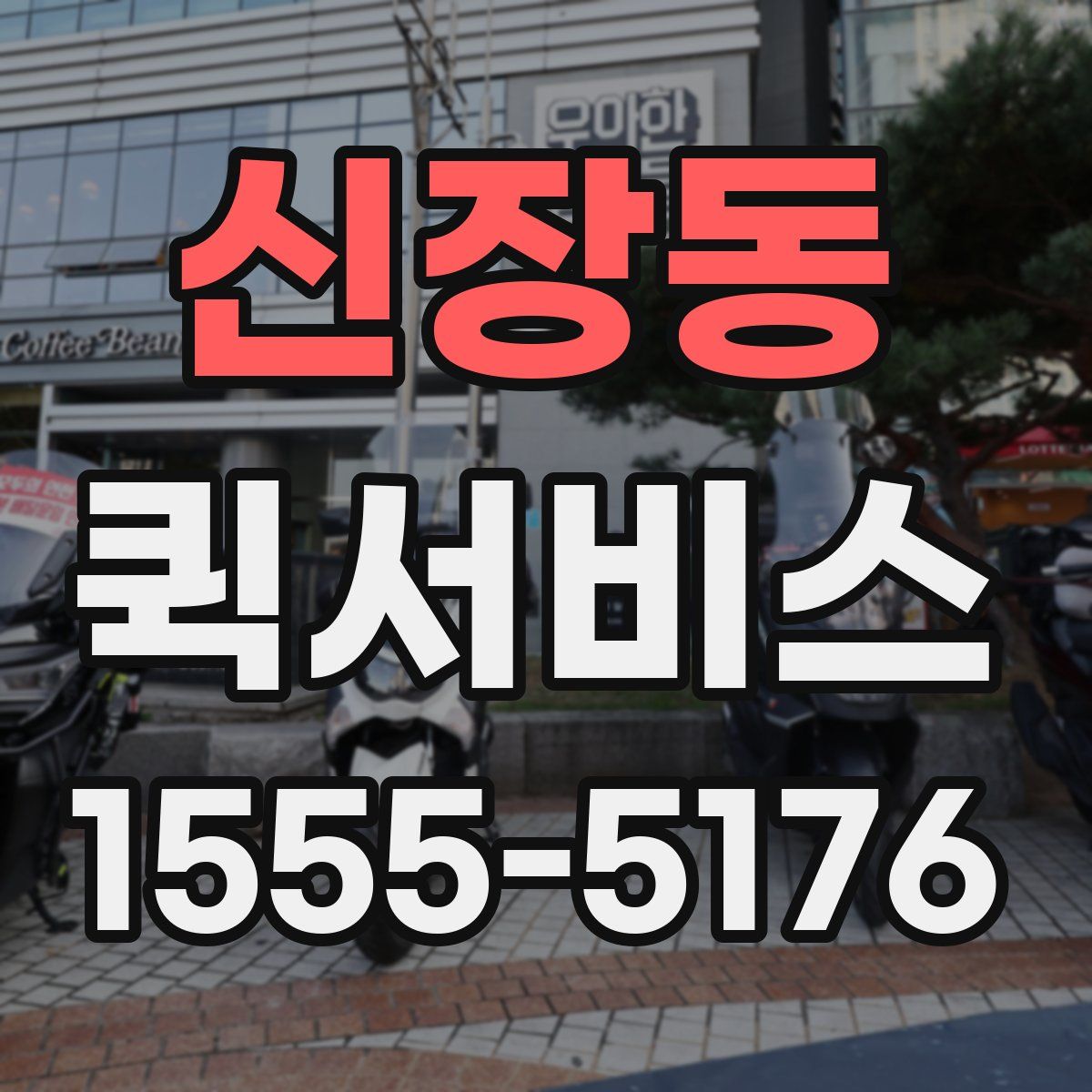 신장동 퀵서비스