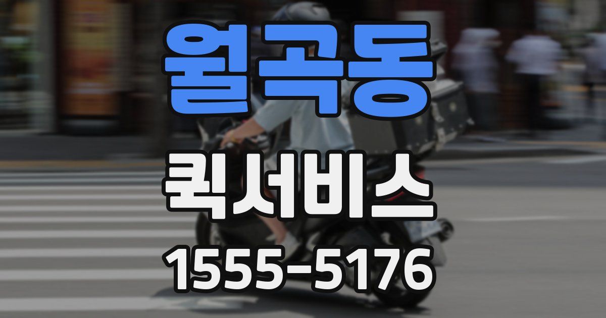 월곡동 퀵서비스