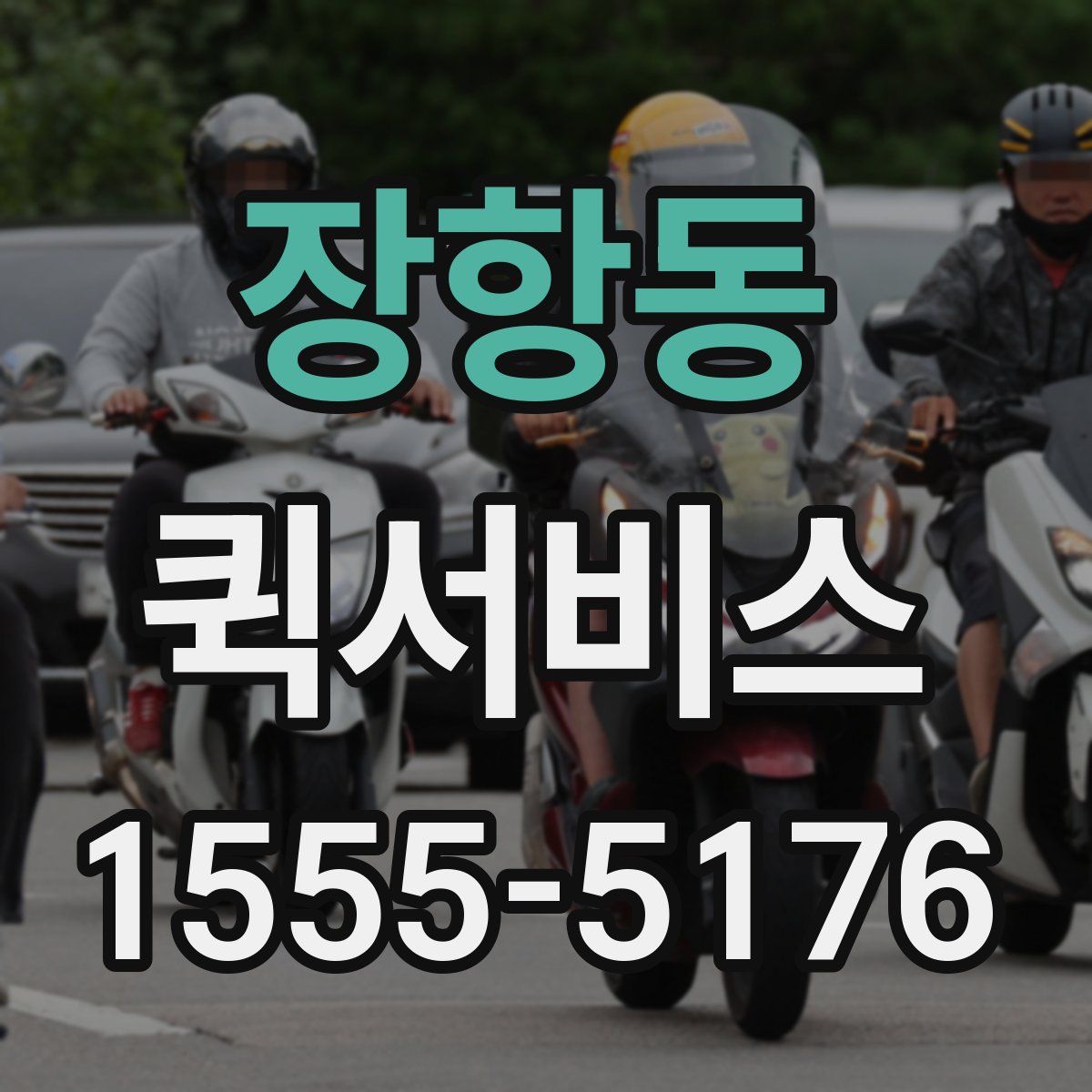 장항동 퀵서비스