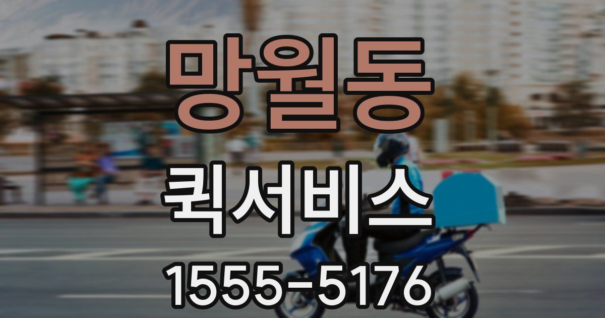 망월동 퀵서비스