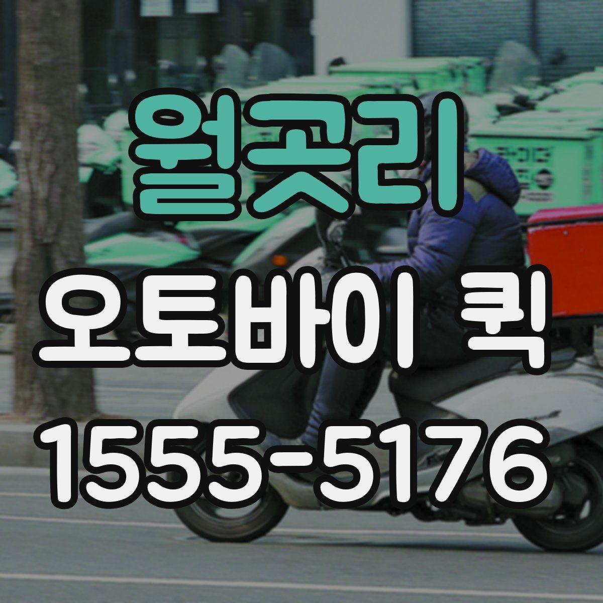 월곳리 오토바이 퀵