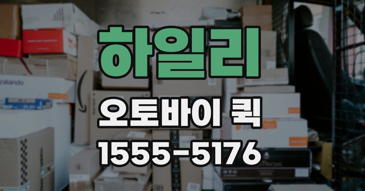 하일리 오토바이 퀵