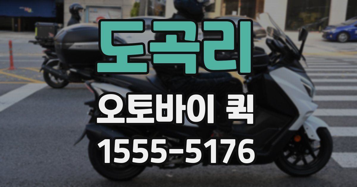 도곡리 오토바이 퀵