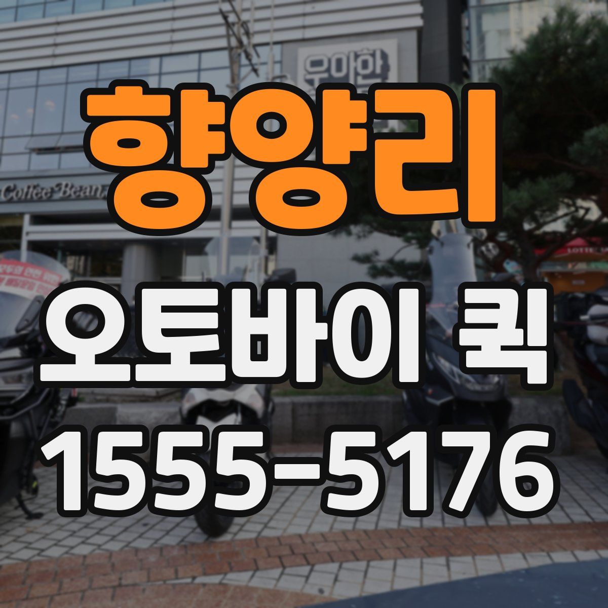 향양리 오토바이 퀵