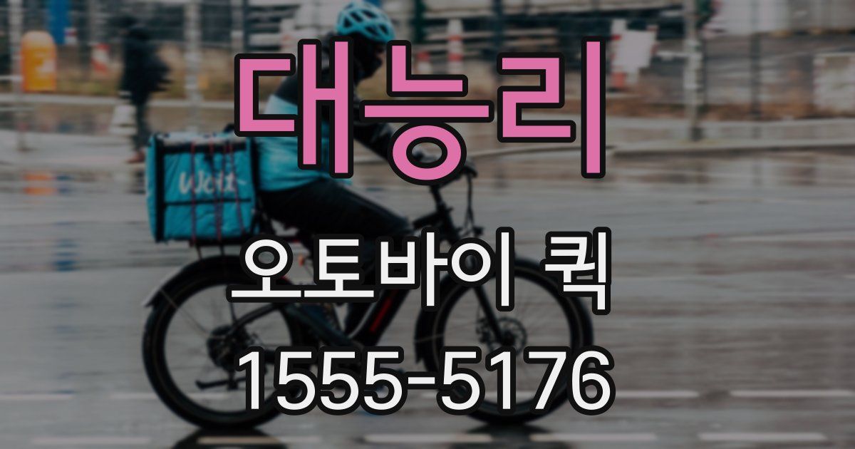 대능리 오토바이 퀵