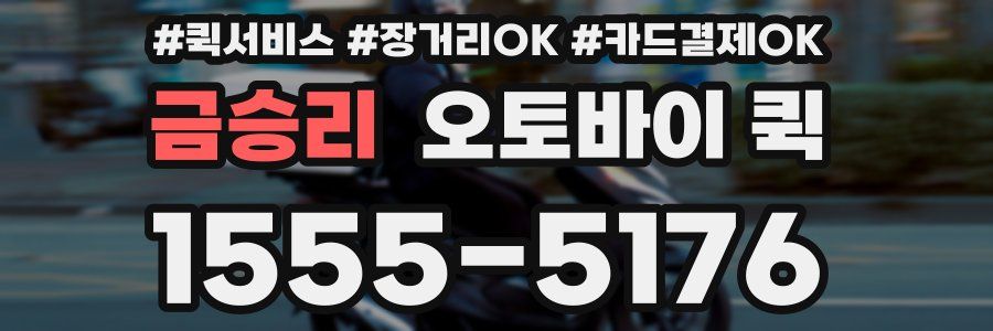 금승리 오토바이 퀵