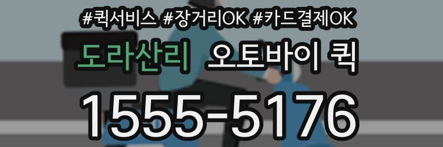 도라산리 오토바이 퀵