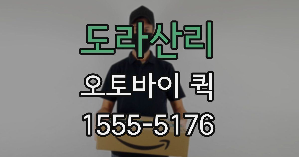 도라산리 오토바이 퀵