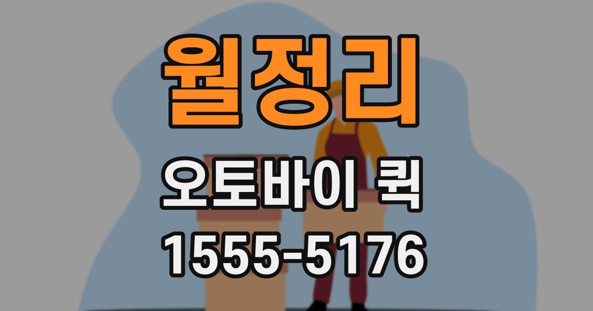 월정리 오토바이 퀵