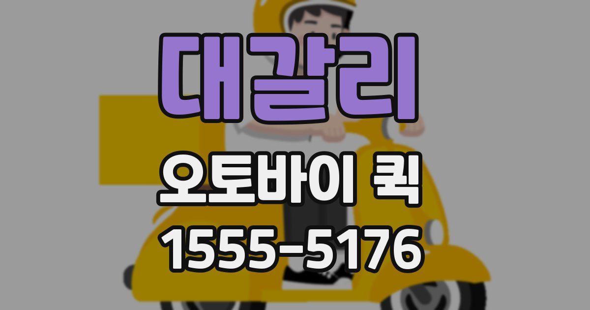 대갈리 오토바이 퀵