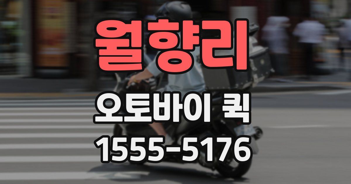 월향리 오토바이 퀵