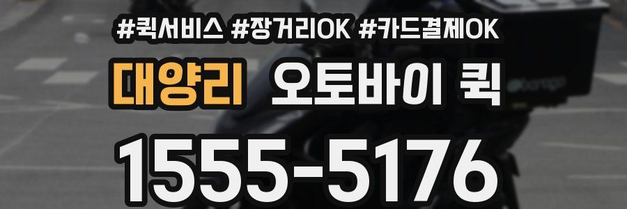 대양리 오토바이 퀵