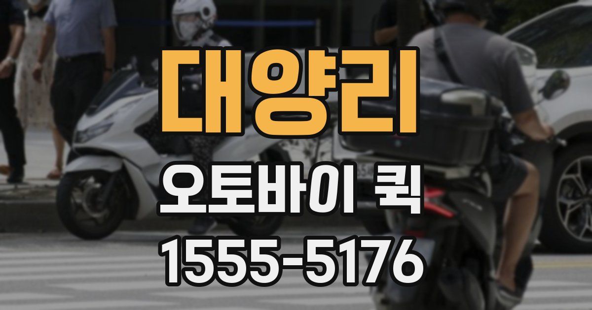 대양리 오토바이 퀵