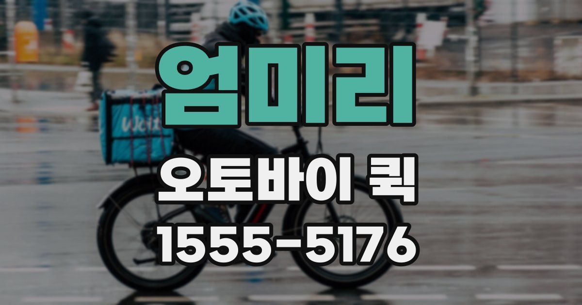 엄미리 오토바이 퀵